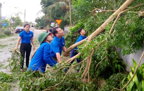Đồng chí Nguyễn Thế Hoàn – UVBCH TW Đoàn, Tỉnh ủy viên, Bí thư Tỉnh đoàn chỉ đạo các đội thanh niên tình nguyện ra quân làm vệ sinh môi trường, thu dọn cây cối gãy đổ sau cơn bão số 2
